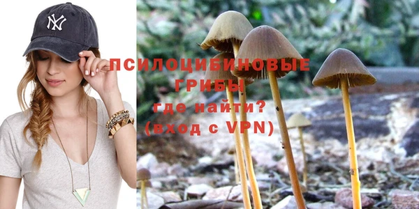 трава Алзамай