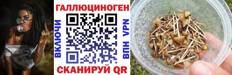 Галлюциногенные грибы Magic Shrooms  купить закладку  Пудож 
